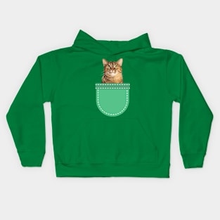 Grey Tabby Cat in Pocket Kids Hoodie